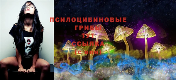 мяу мяу мука Балабаново