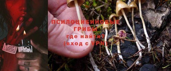 Альфа ПВП Балахна